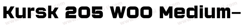 Kursk 205 W00 Medium字体转换
